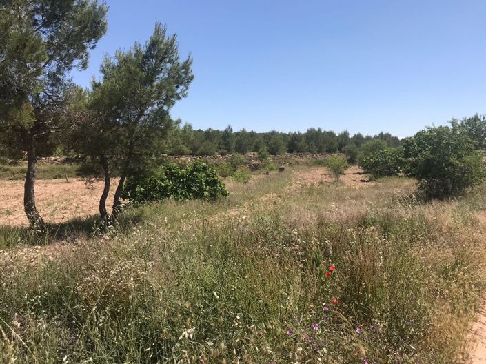 Image No.24-8 Bed Country House for sale