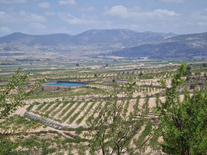Image No.1-Land for sale