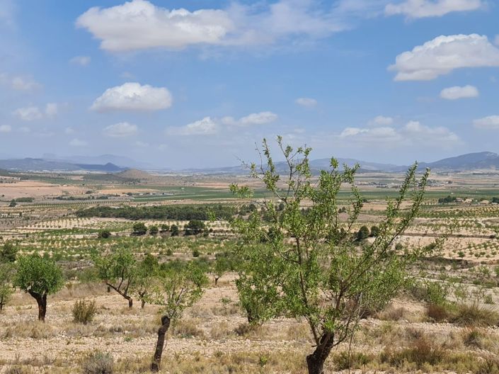 Image No.10-Land for sale