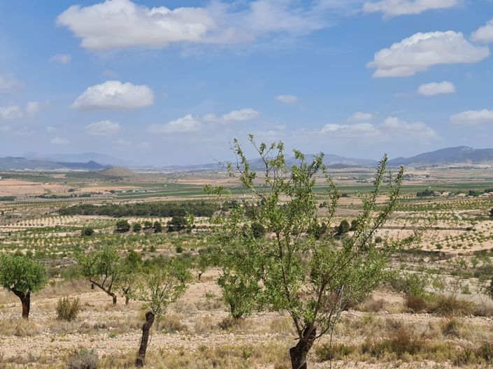 Image No.11-Land for sale