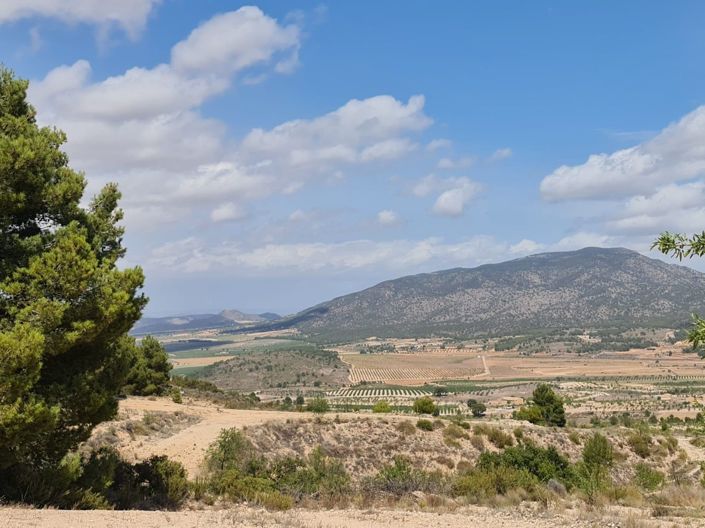 Image No.12-Land for sale