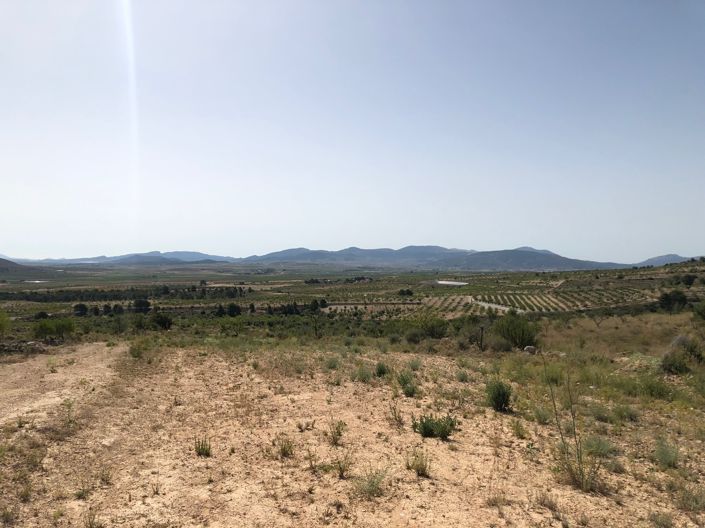 Image No.13-Land for sale