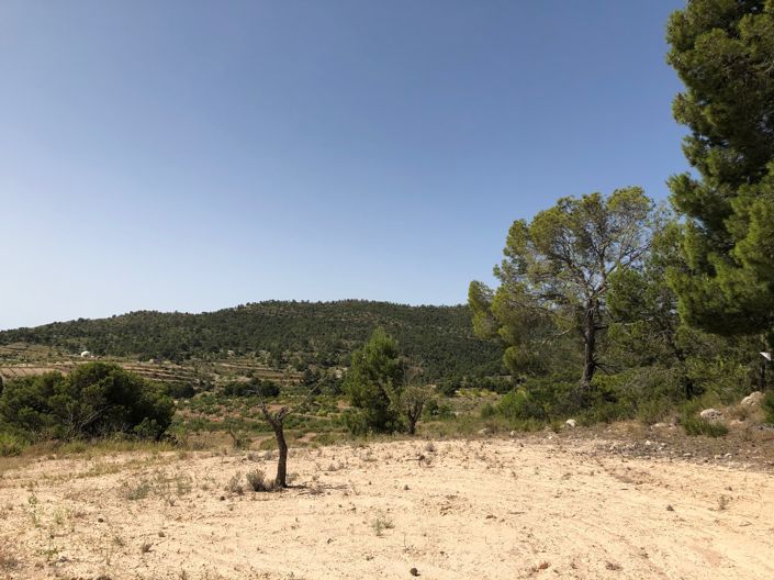 Image No.14-Land for sale