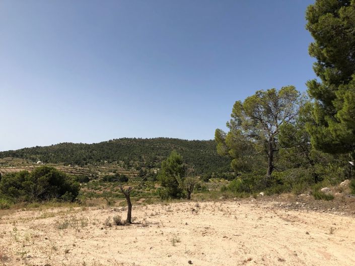 Image No.14-Land for sale