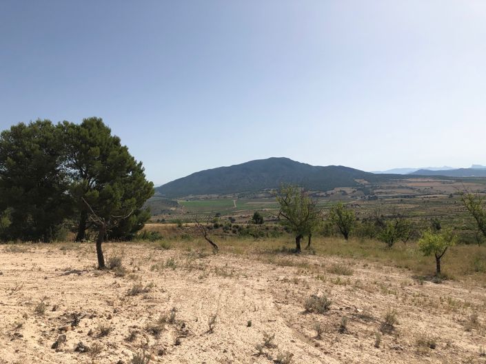 Image No.18-Land for sale