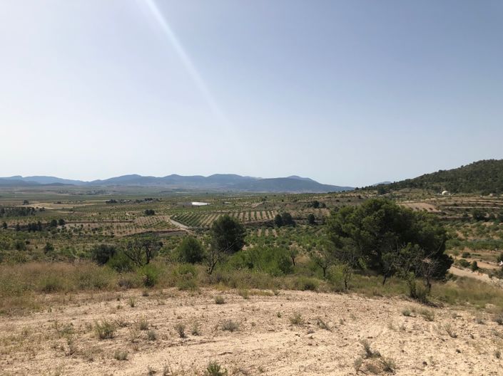 Image No.19-Land for sale