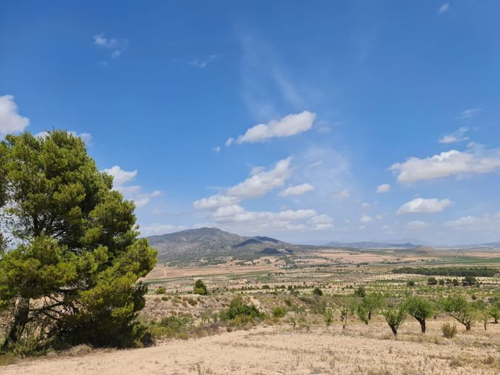 Image No.2-Land for sale