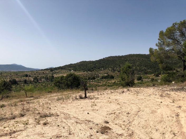 Image No.20-Land for sale