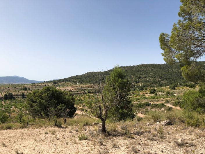 Image No.23-Land for sale