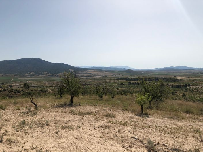 Image No.24-Land for sale