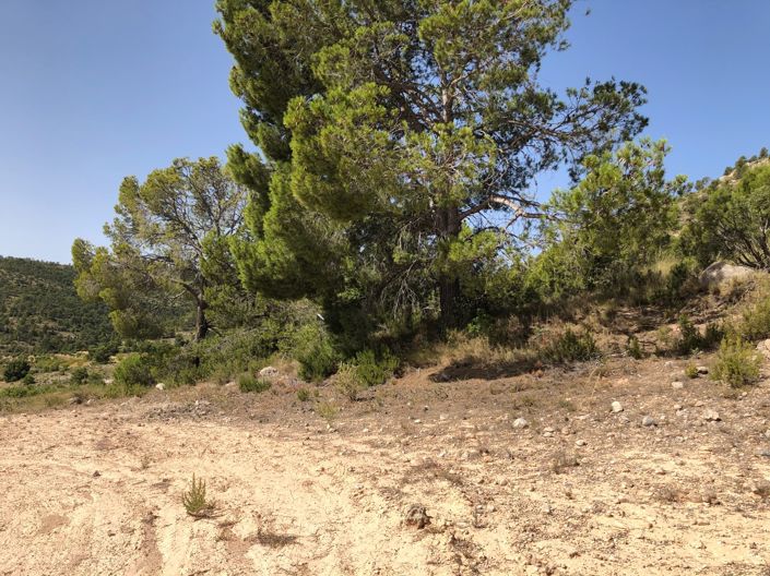 Image No.26-Land for sale