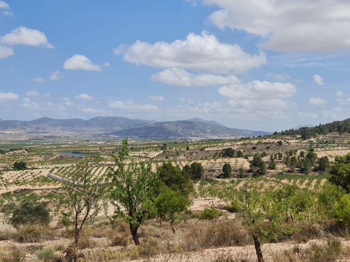 Image No.29-Land for sale