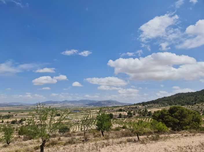 Image No.3-Land for sale