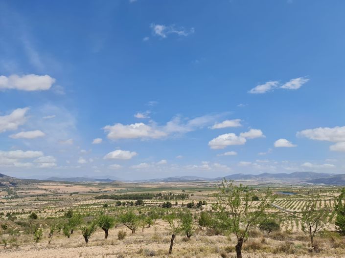 Image No.7-Land for sale