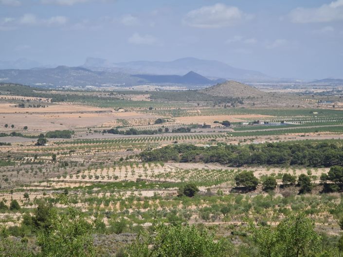 Image No.8-Land for sale