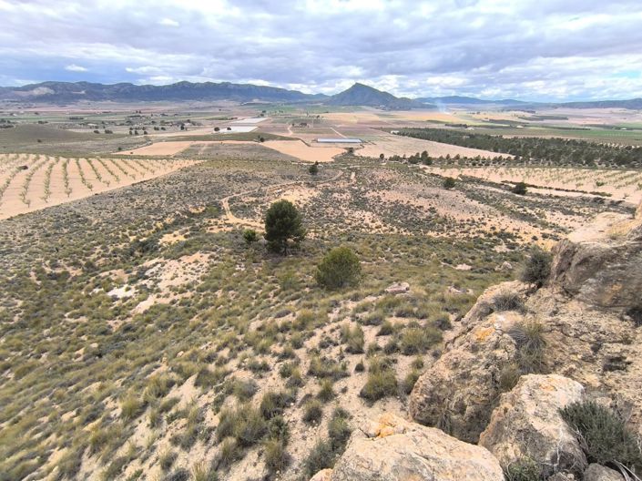 Image No.1-Land for sale