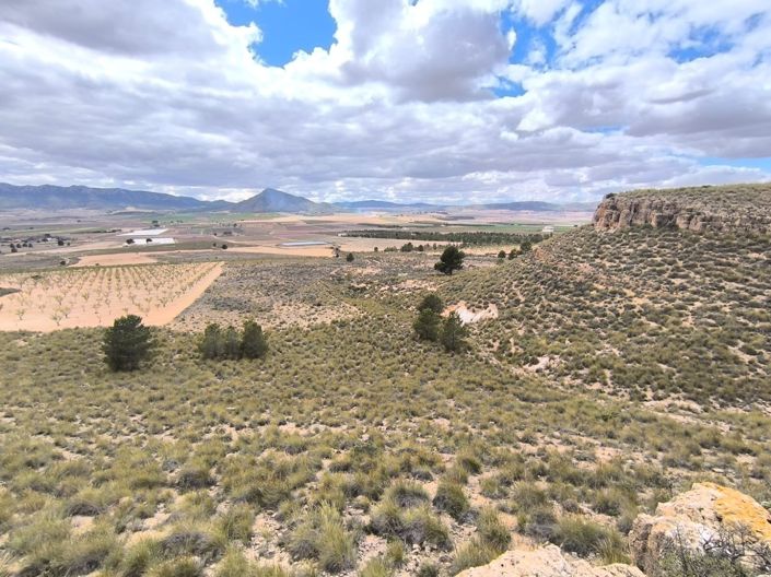 Image No.2-Land for sale