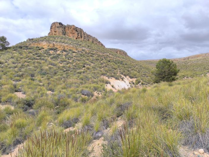 Image No.3-Land for sale