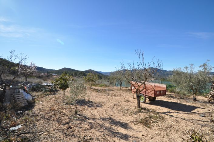 Image No.15-Maison de campagne de 6 chambres à vendre à Monóvar