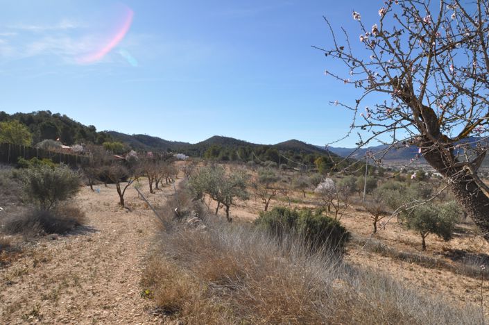 Image No.16-Maison de campagne de 6 chambres à vendre à Monóvar