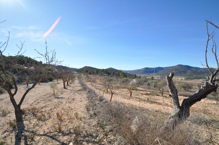 Image No.17-Maison de campagne de 6 chambres à vendre à Monóvar