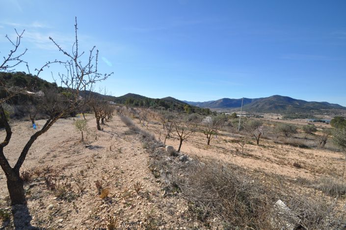 Image No.18-Maison de campagne de 6 chambres à vendre à Monóvar