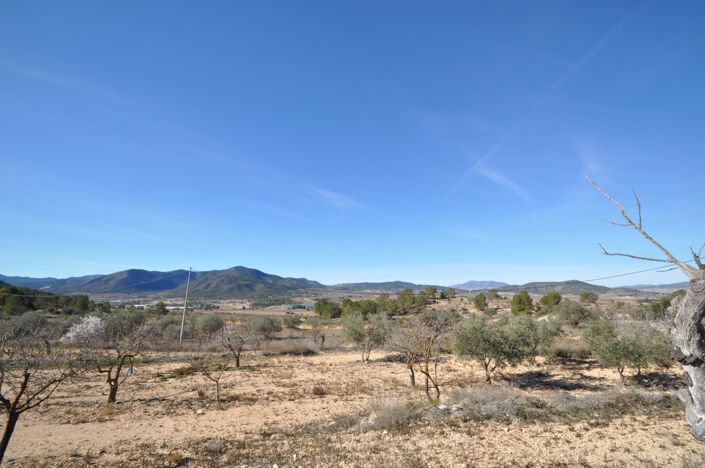 Image No.19-Maison de campagne de 6 chambres à vendre à Monóvar