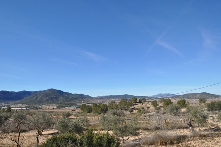 Image No.20-Maison de campagne de 6 chambres à vendre à Monóvar