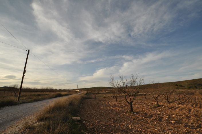 Image No.4-Terre à vendre à Abanilla