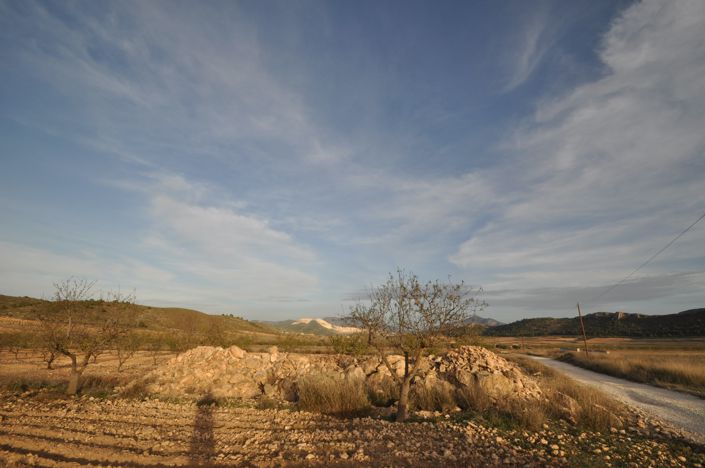 Image No.5-Terre à vendre à Abanilla