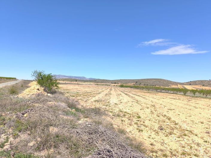 Image No.1-Land for sale