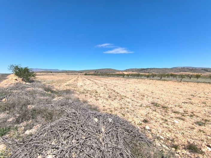 Image No.2-Terre à vendre à Abanilla