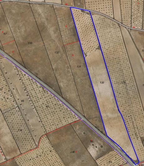 Image No.3-Terre à vendre à Abanilla