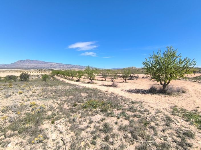Image No.1-Land for sale