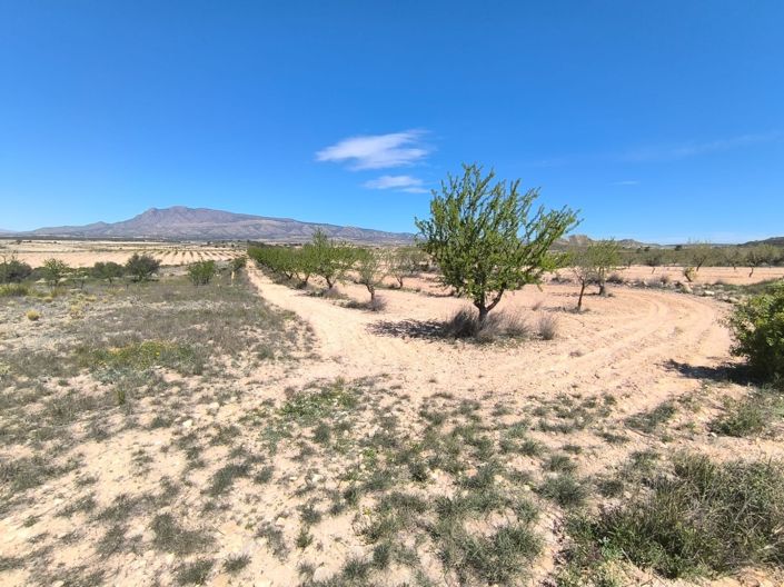 Image No.2-Land for sale