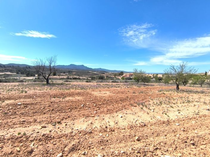 Image No.1-Terre à vendre à Jumilla