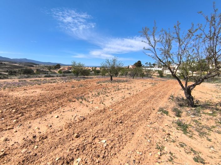 Image No.2-Terre à vendre à Jumilla