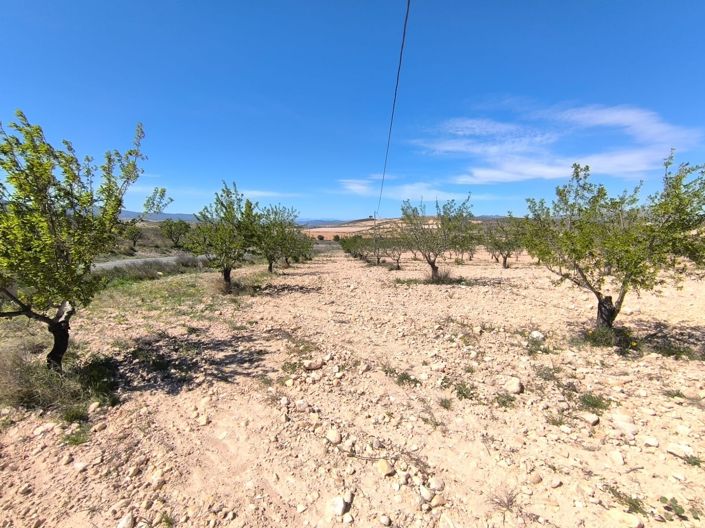 Image No.1-Land for sale
