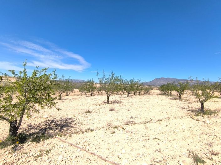 Image No.2-Land for sale