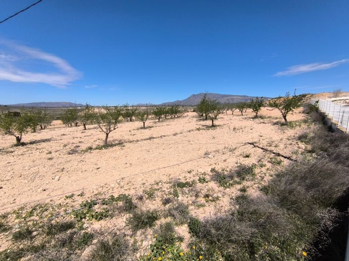 Image No.3-Land for sale