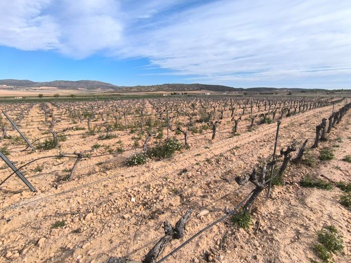 Image No.2-7 Bed Country House for sale