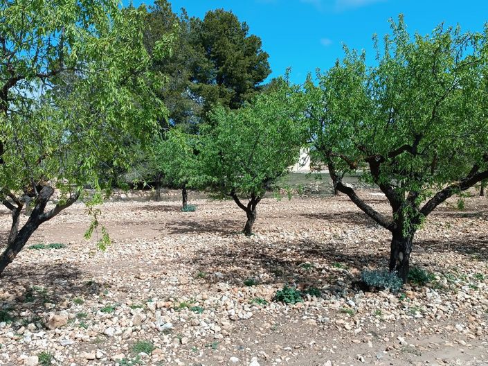 Image No.13-Country House for sale