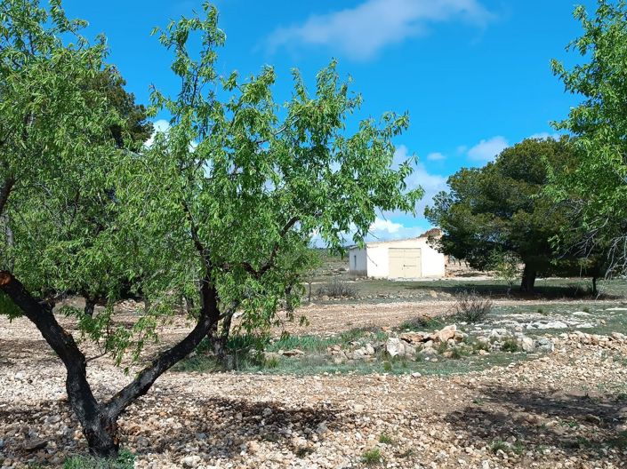 Image No.16-Country House for sale