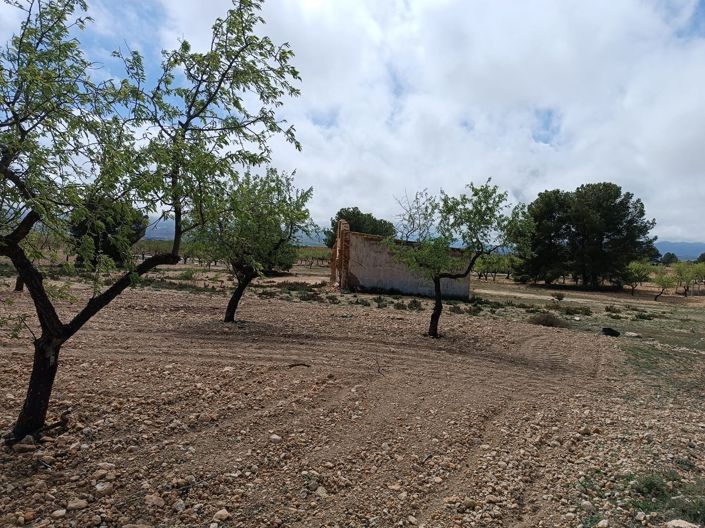 Image No.20-Country House for sale