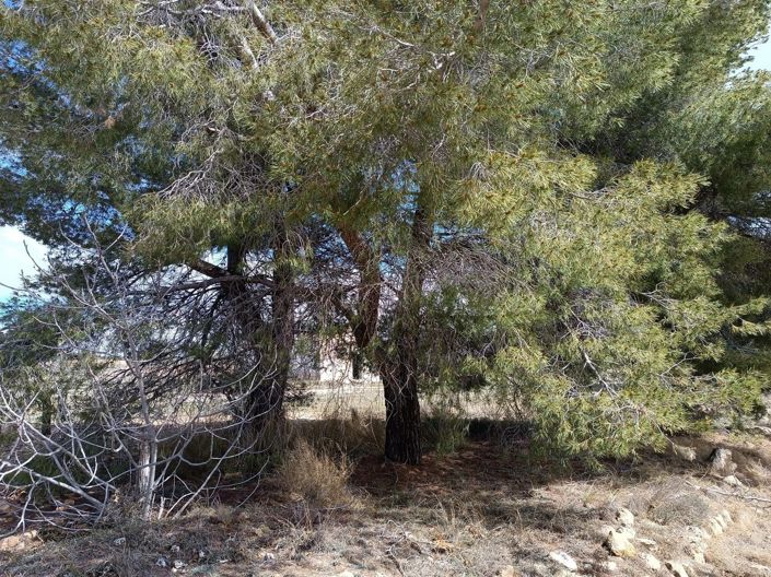 Image No.22-Country House for sale