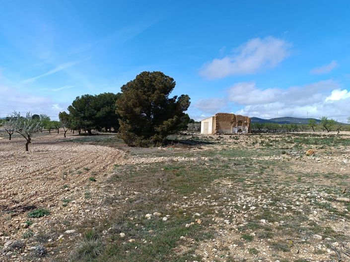 Image No.25-Country House for sale