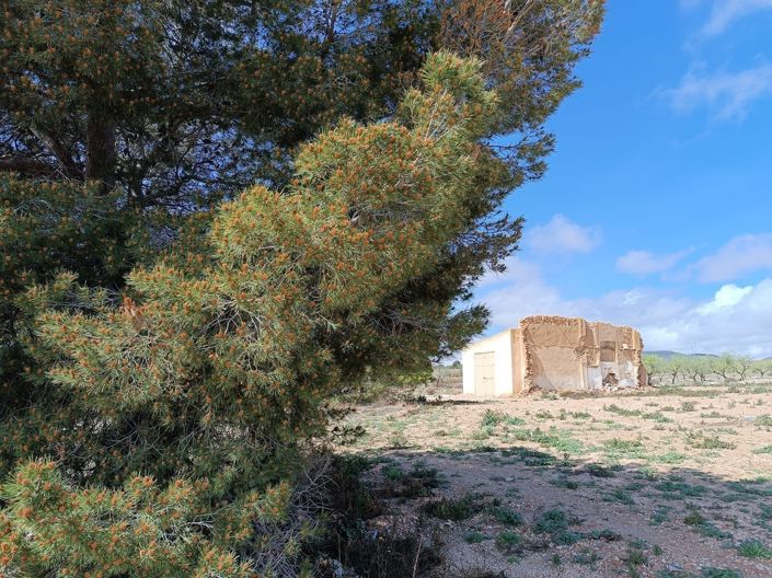 Image No.26-Country House for sale