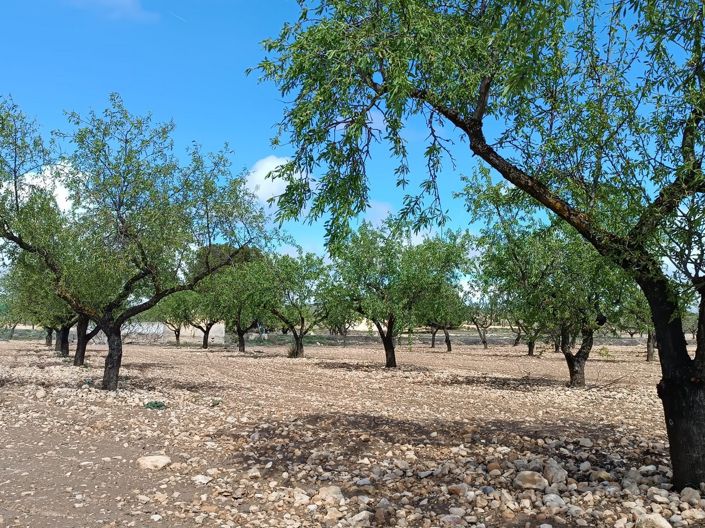 Image No.7-Country House for sale