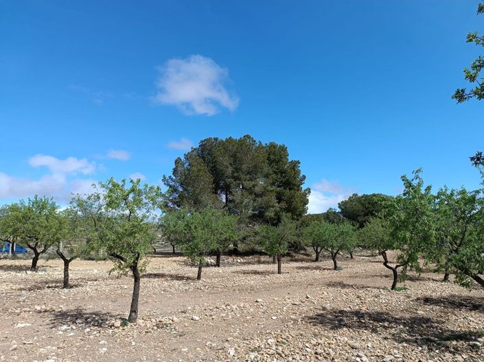 Image No.8-Country House for sale