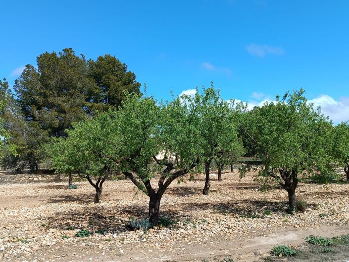 Image No.9-Country House for sale